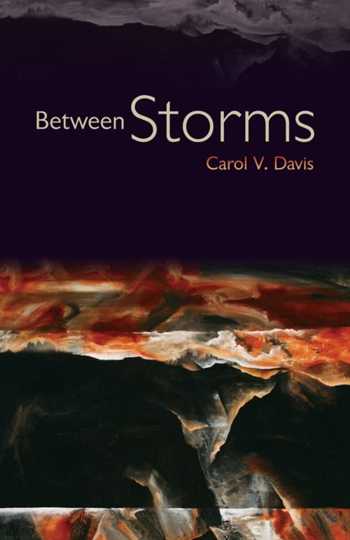 Cover of the book Between Storms by Carol V. Davis, Truman State University Press