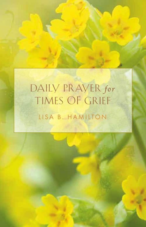 Cover of the book Daily Prayer for Times of Grief by Rev. Lisa Hamilton, Paraclete Press