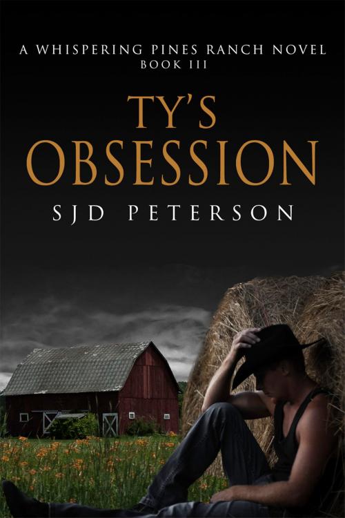 Cover of the book Ty's Obsession by SJD Peterson, Dreamspinner Press