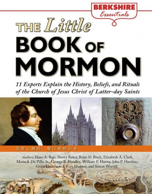 Cover of the book The Little Book of Mormon: 11 Experts Explain the History, Beliefs, and Rituals of the Church of Jesus Christ of Latter-day Saints by Authors: Hans A. Baer, Sherry Baker, Brian D. Birch, Elizabeth A. Clark, Mario S. De Pillis Sr., George B. Handley, William F. Hanna, John P. Hawkins, Grant Underwood, Kurt Widmer, and Simon Worrall., Berkshire Publishing
