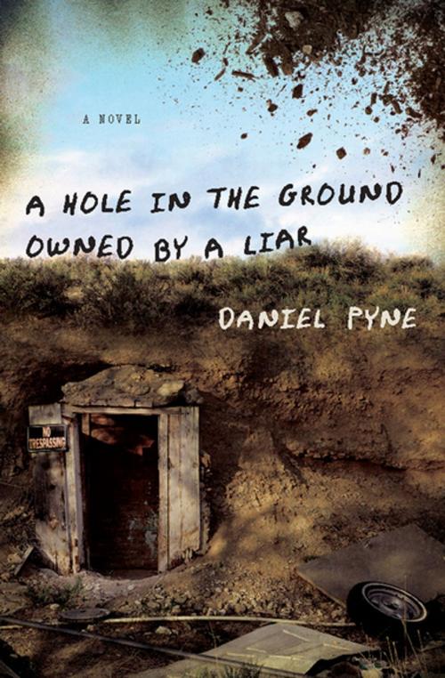 Cover of the book A Hole in the Ground Owned by a Liar by Daniel Pyne, Counterpoint Press