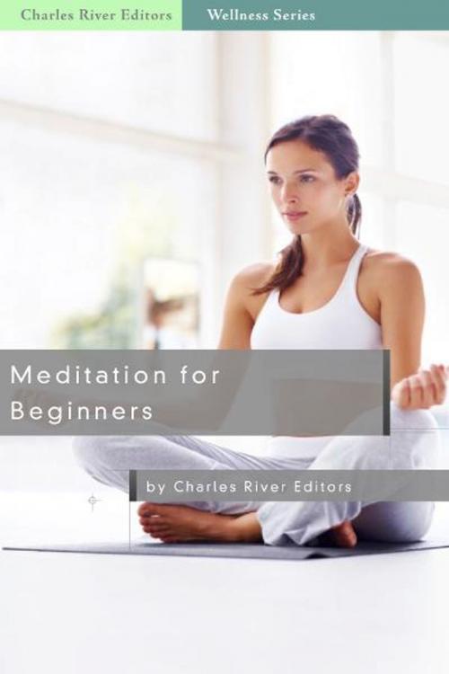 Cover of the book Meditation for Beginners by Michael Solis, Charles River Editors