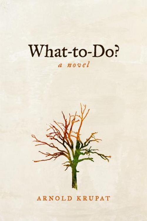 Cover of the book What To Do? by Arnold Krupat, BookBaby
