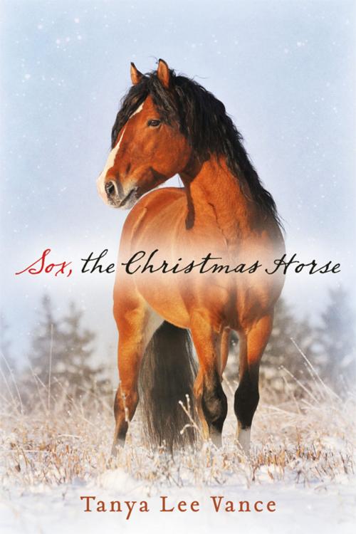 Cover of the book Sox, the Christmas Horse by Tanya Lee Vance, BookBaby