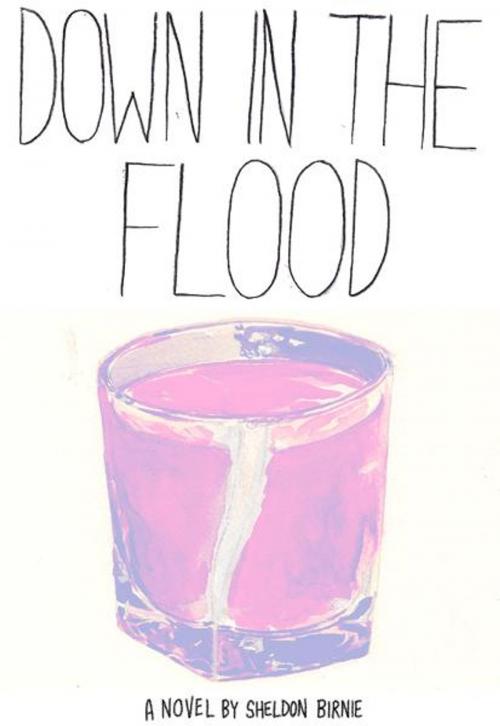 Cover of the book Down in the Flood by Sheldon Birnie, BookBaby
