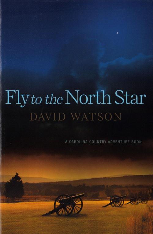 Cover of the book Fly To The North Star by David Watson, BookBaby