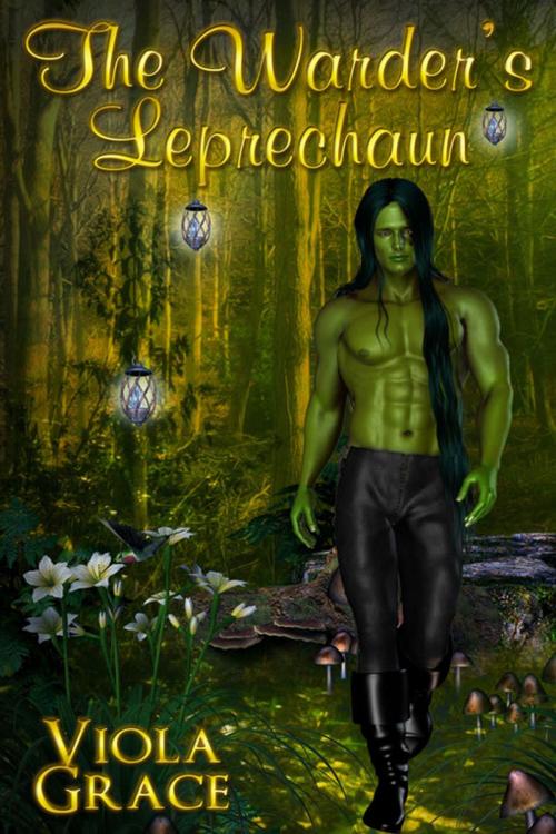 Cover of the book The Warder's Leprechaun by Viola Grace, eXtasy Books Inc