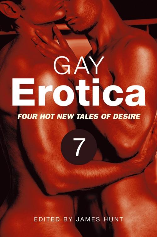 Cover of the book Gay Erotica, Volume 7 by James Hunt, Little, Brown Book Group