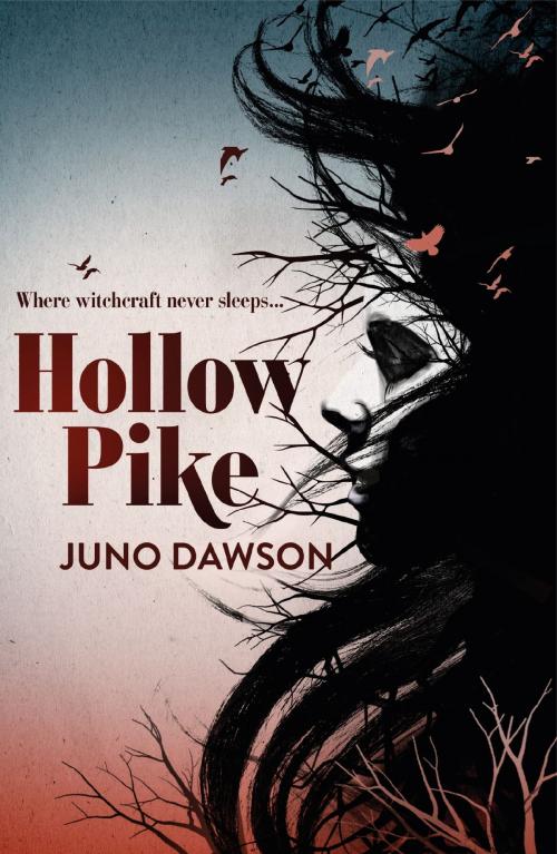 Cover of the book Hollow Pike by Juno Dawson, Hachette Children's