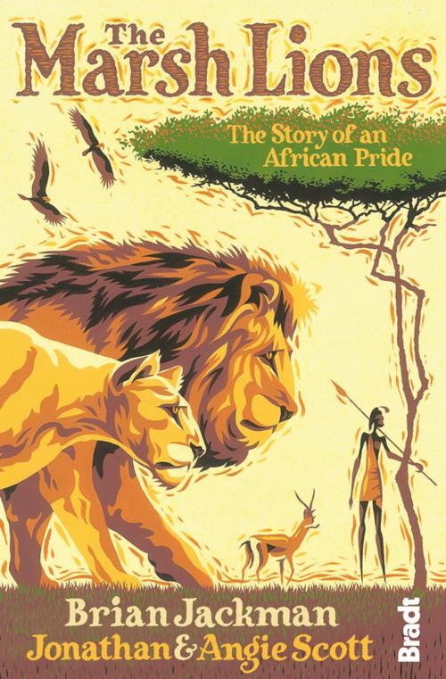 Cover of the book The Marsh Lions: The Story of an African Pride by Jonathan Scott, Angela Scott, Brian Jackman, Bradt Travel Guides Ltd