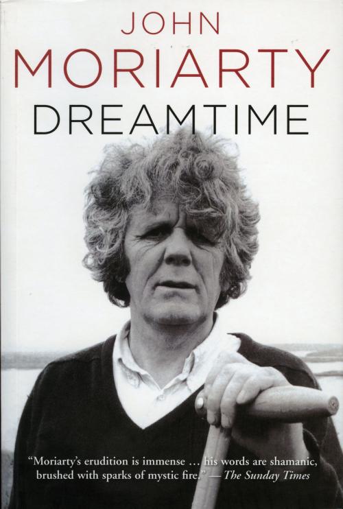 Cover of the book Dreamtime by John Moriarty, The Lilliput Press