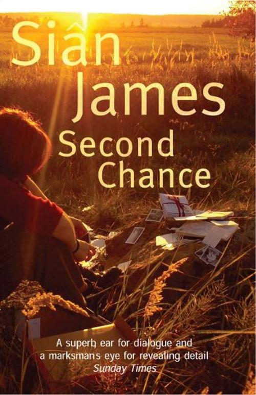Cover of the book Second Chance by Sian James, Seren