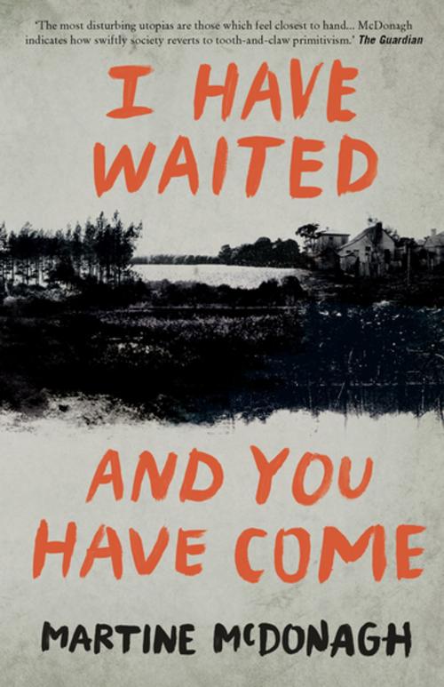 Cover of the book I Have Waited, and You Have Come by Martine McDonagh, Myriad Editions