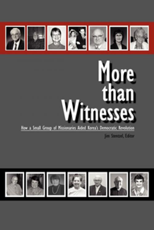 Cover of the book More Than Witnesses by , Nightengale Media LLC