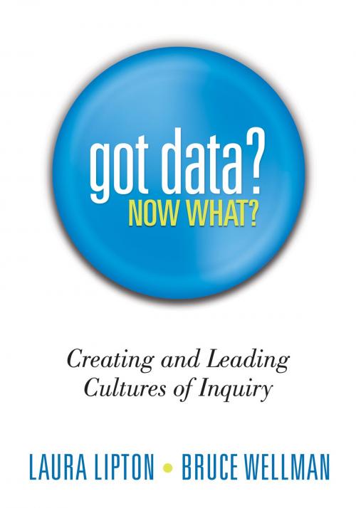 Cover of the book Got Data? Now What? by Laura Lipton, Bruce Wellman, Solution Tree Press