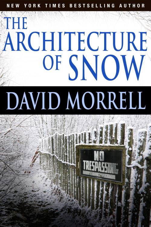 Cover of the book The Architecture of Snow by David Morrell, Self-Published