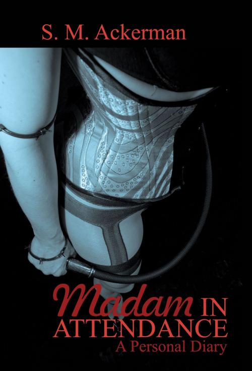 Cover of the book Madam in Attendance by S.M. Ackerman, Pink Flamingo Media