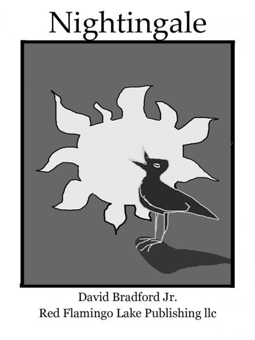 Cover of the book Nightingale by David Bradford Jr., Red Flamingo Lake Publishing llc