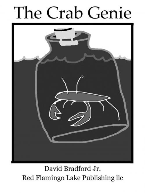Cover of the book The Crab Genie by David Bradford Jr., Red Flamingo Lake Publishing llc