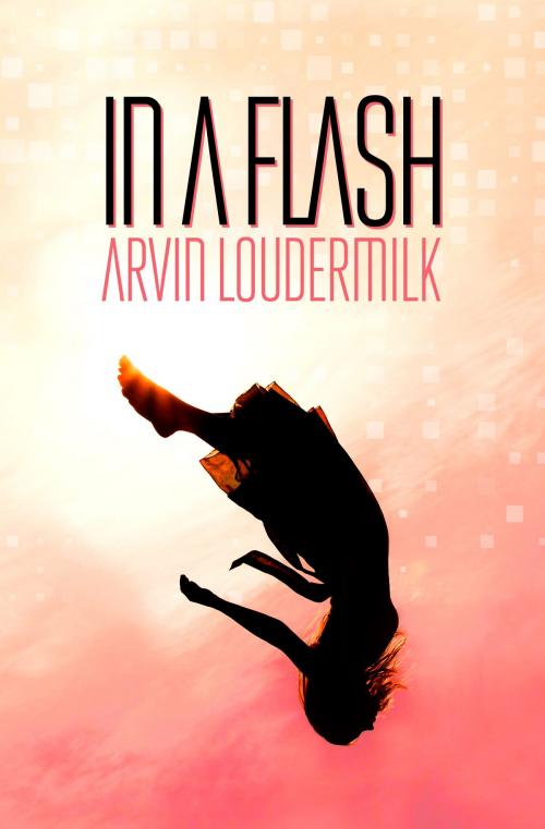 Cover of the book In a Flash by Arvin Loudermilk, The Concentrium
