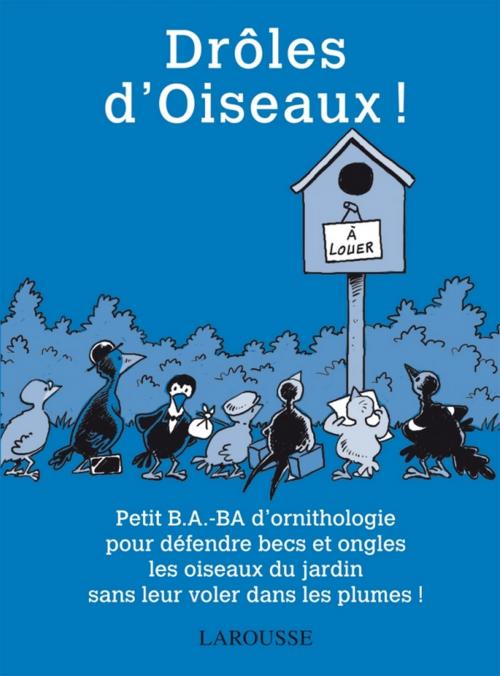 Cover of the book Drôles d'Oiseaux ! by Hélène Lasserre, Gilles Bonotaux, Larousse