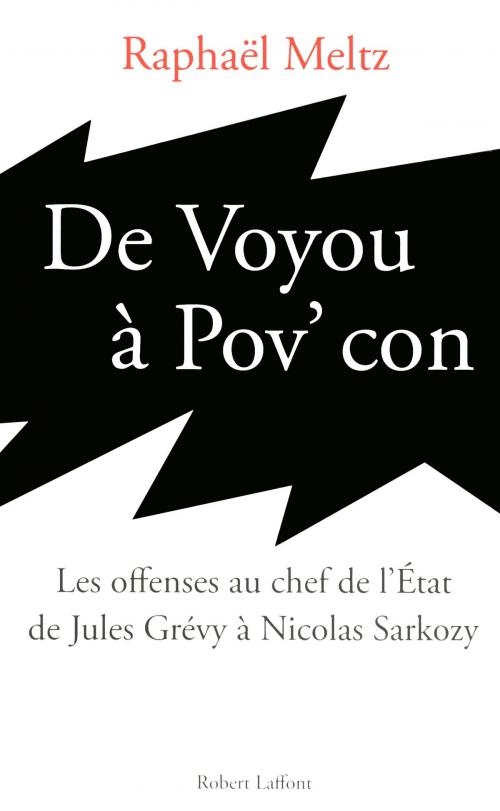 Cover of the book De voyou à pov' con by Raphaël MELTZ, Groupe Robert Laffont