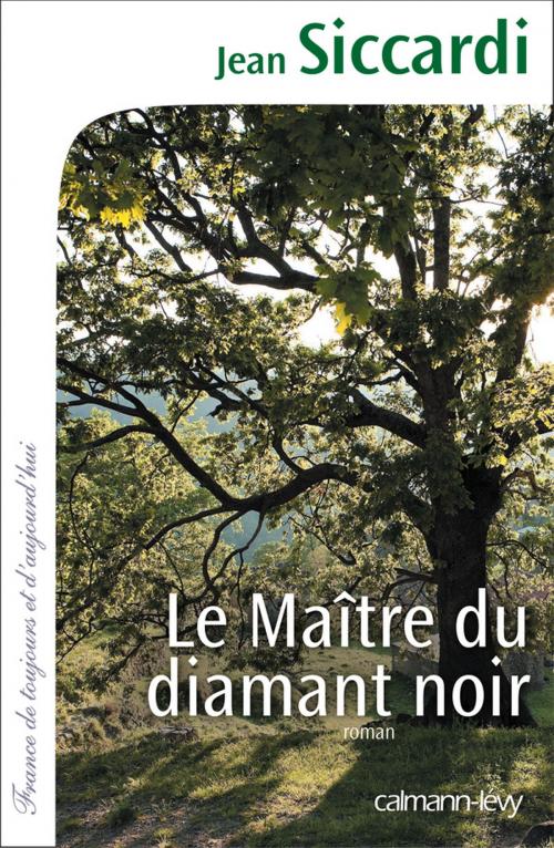 Cover of the book Le Maître du diamant noir by Jean Siccardi, Calmann-Lévy