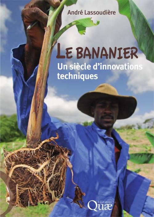 Cover of the book Le bananier by André Lassoudière, Quae