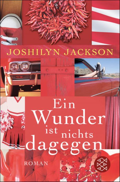 Cover of the book Ein Wunder ist nichts dagegen by Joshilyn Jackson, FISCHER E-Books