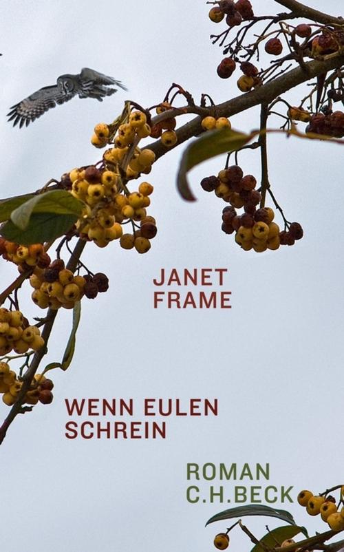 Cover of the book Wenn Eulen schrein by Janet Frame, C.H.Beck