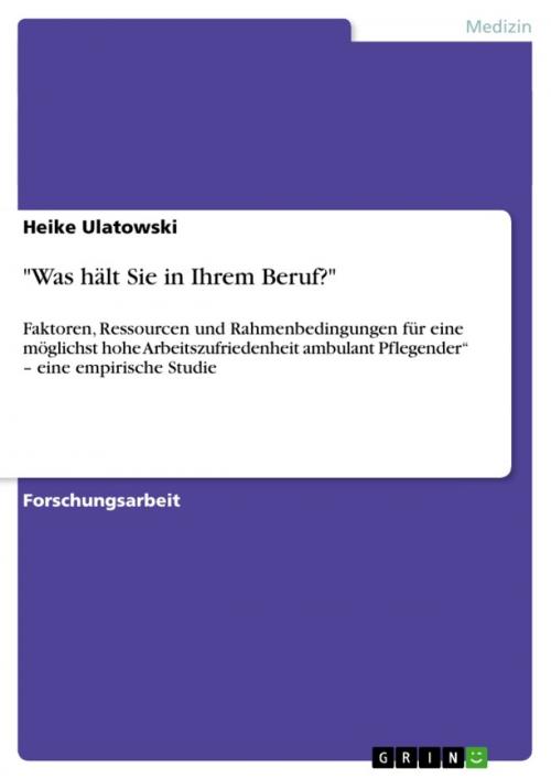 Cover of the book 'Was hält Sie in Ihrem Beruf?' by Heike Ulatowski, GRIN Verlag