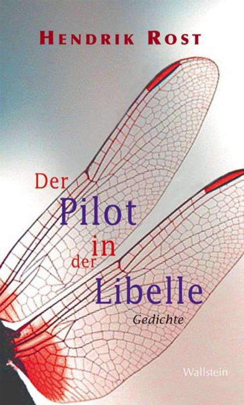 Cover of the book Der Pilot in der Libelle by Hendrik Rost, Wallstein Verlag