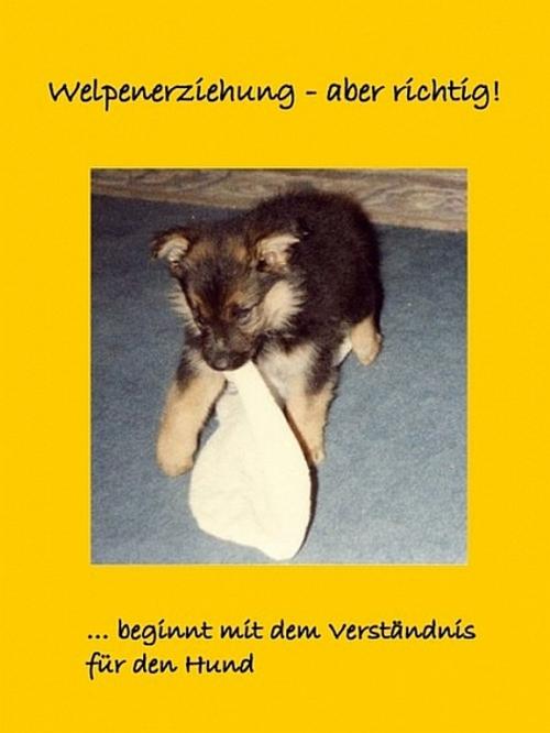 Cover of the book Welpenerziehung - aber richtig! by Jessica Kittner, XinXii-GD Publishing