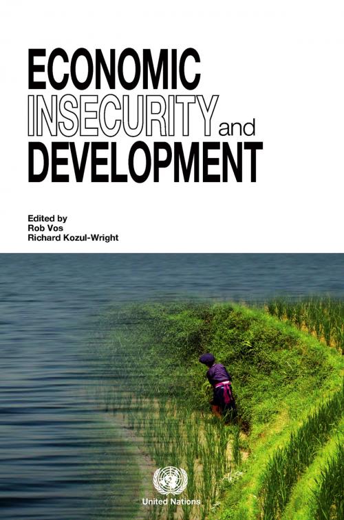 Cover of the book Economic Insecurity and Development by United Nations, United Nations