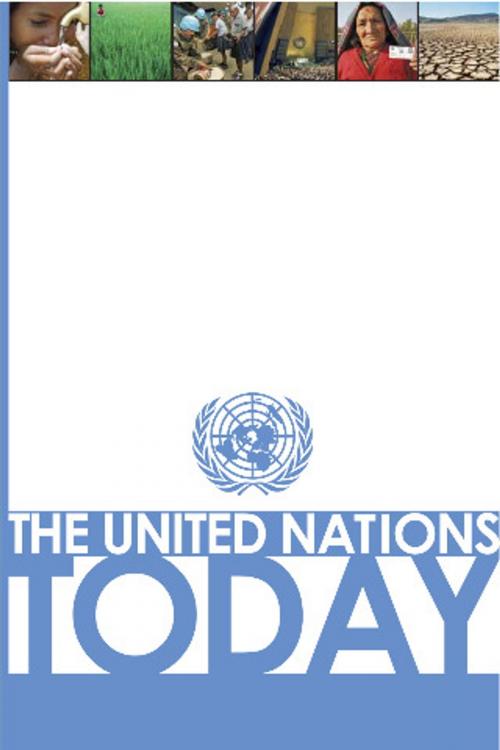 Cover of the book United Nations Today, The by United Nations, United Nations