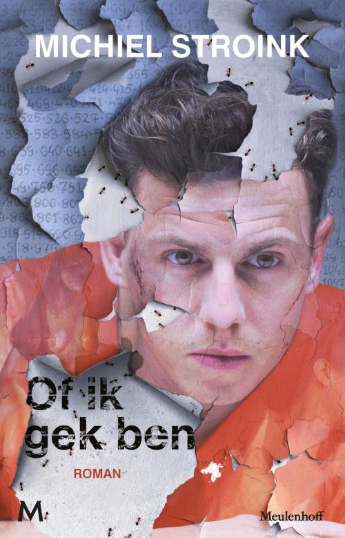 Cover of the book Of ik gek ben by Michiel Stroink, Meulenhoff Boekerij B.V.