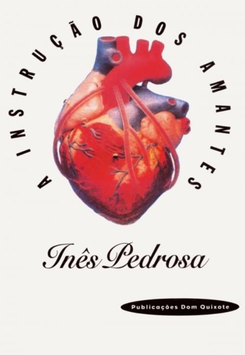 Cover of the book A Instrução dos Amantes by Inês Pedrosa, D. QUIXOTE