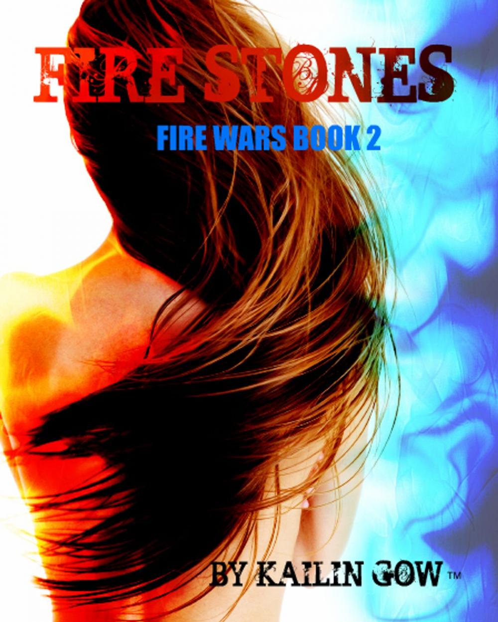 Big bigCover of Fire Stone (Fire Wars Series #2)