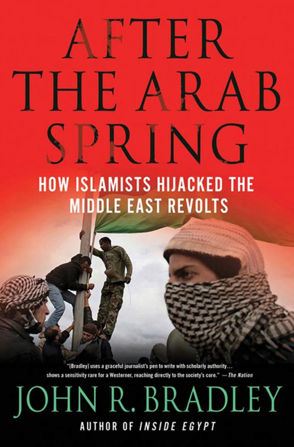 Big bigCover of After the Arab Spring