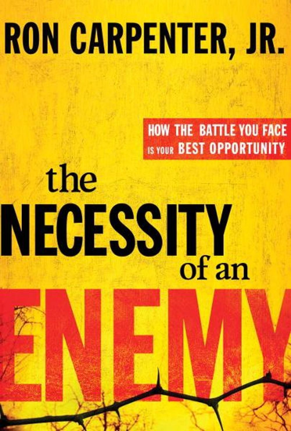 Big bigCover of The Necessity of an Enemy