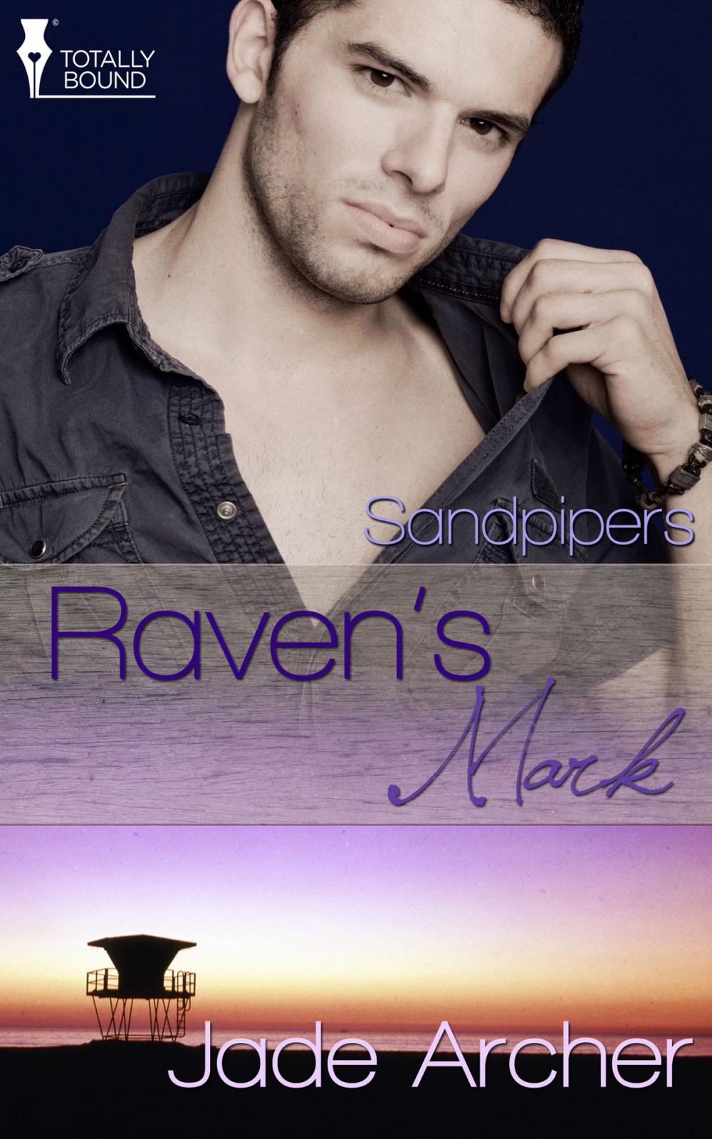 Big bigCover of Raven's Mark