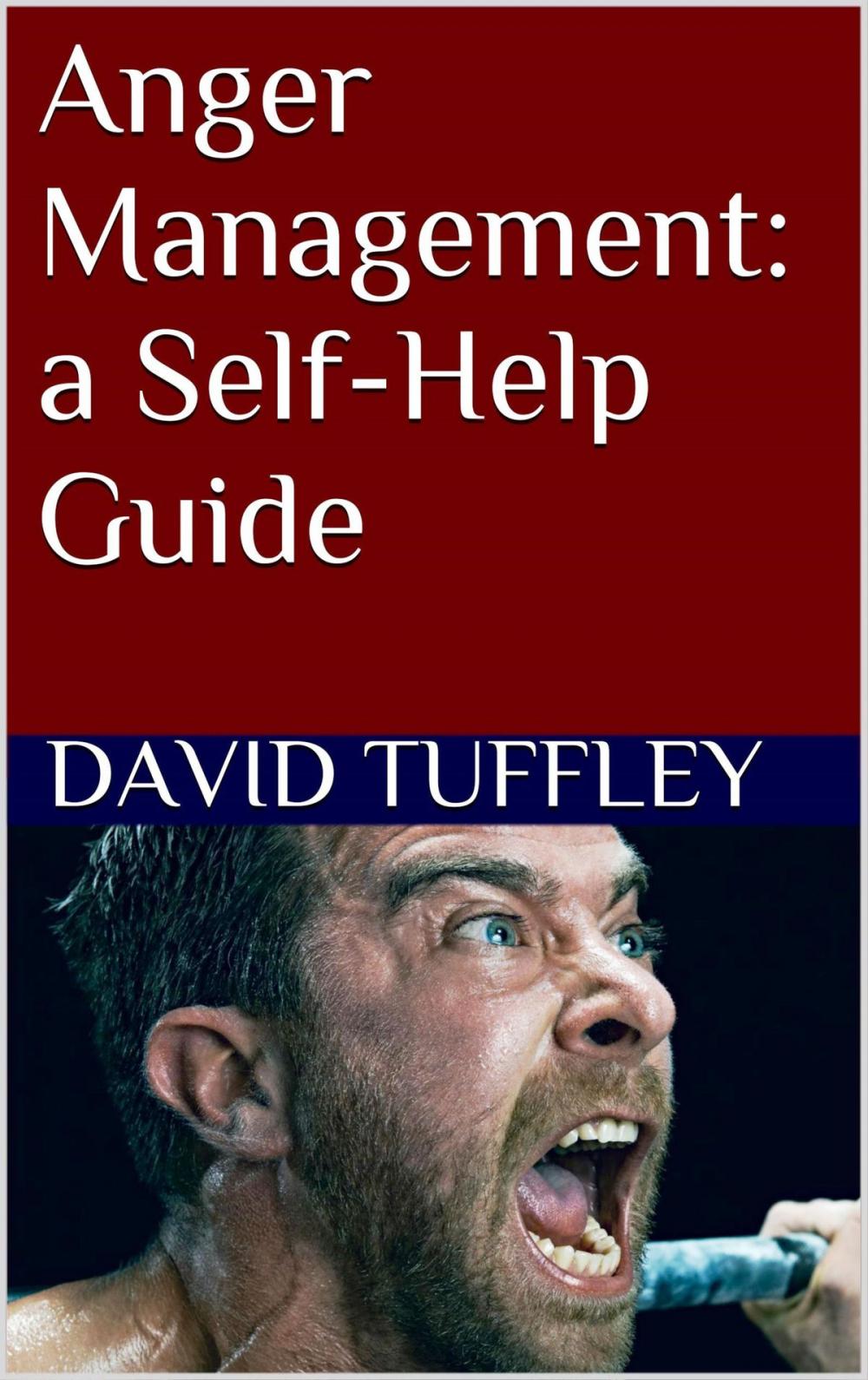 Big bigCover of Anger Management: a Self-Help Guide