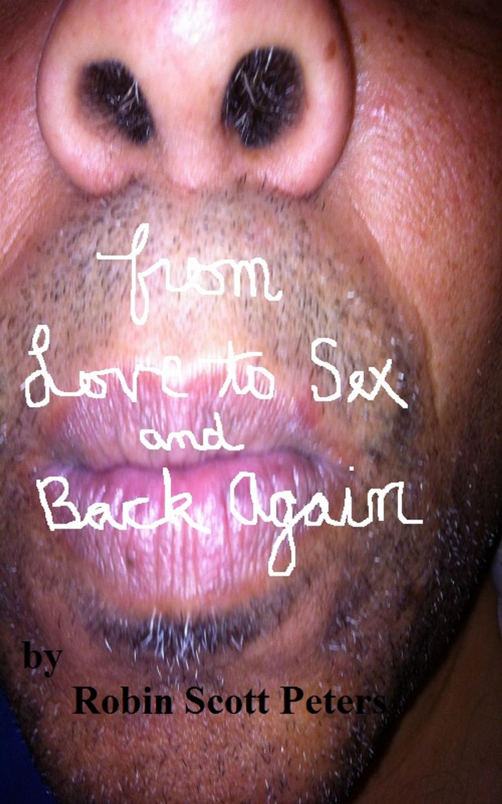 Big bigCover of From Love to Sex and Back Again