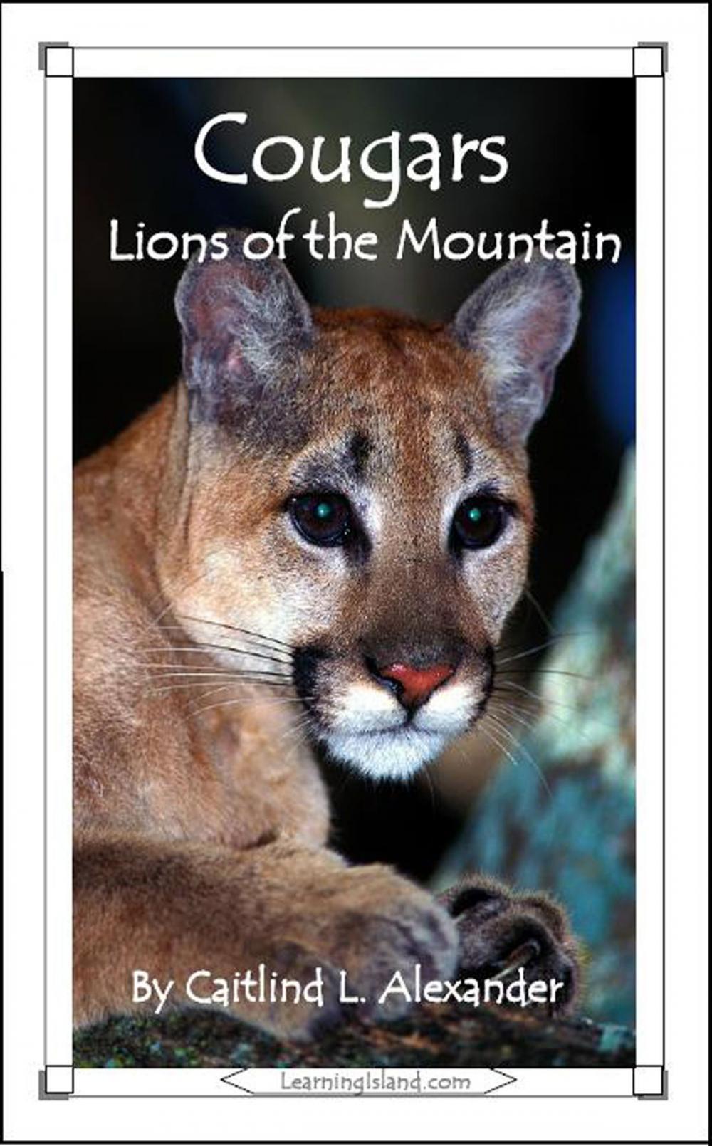 Big bigCover of Cougars: Lions of the Mountains