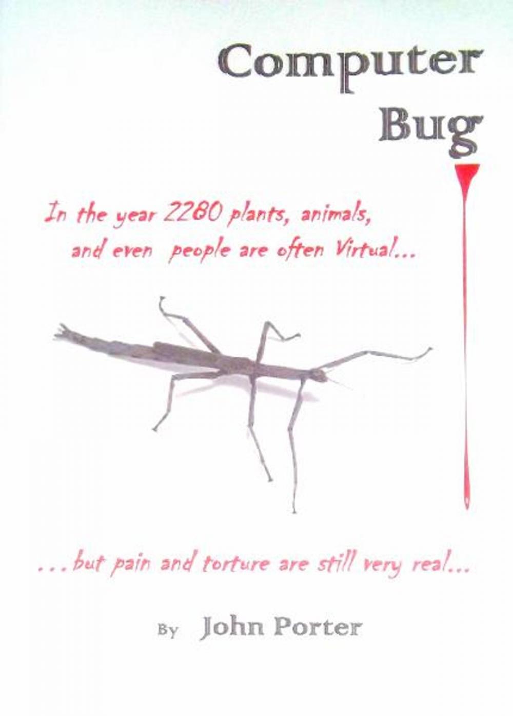 Big bigCover of Computer Bug