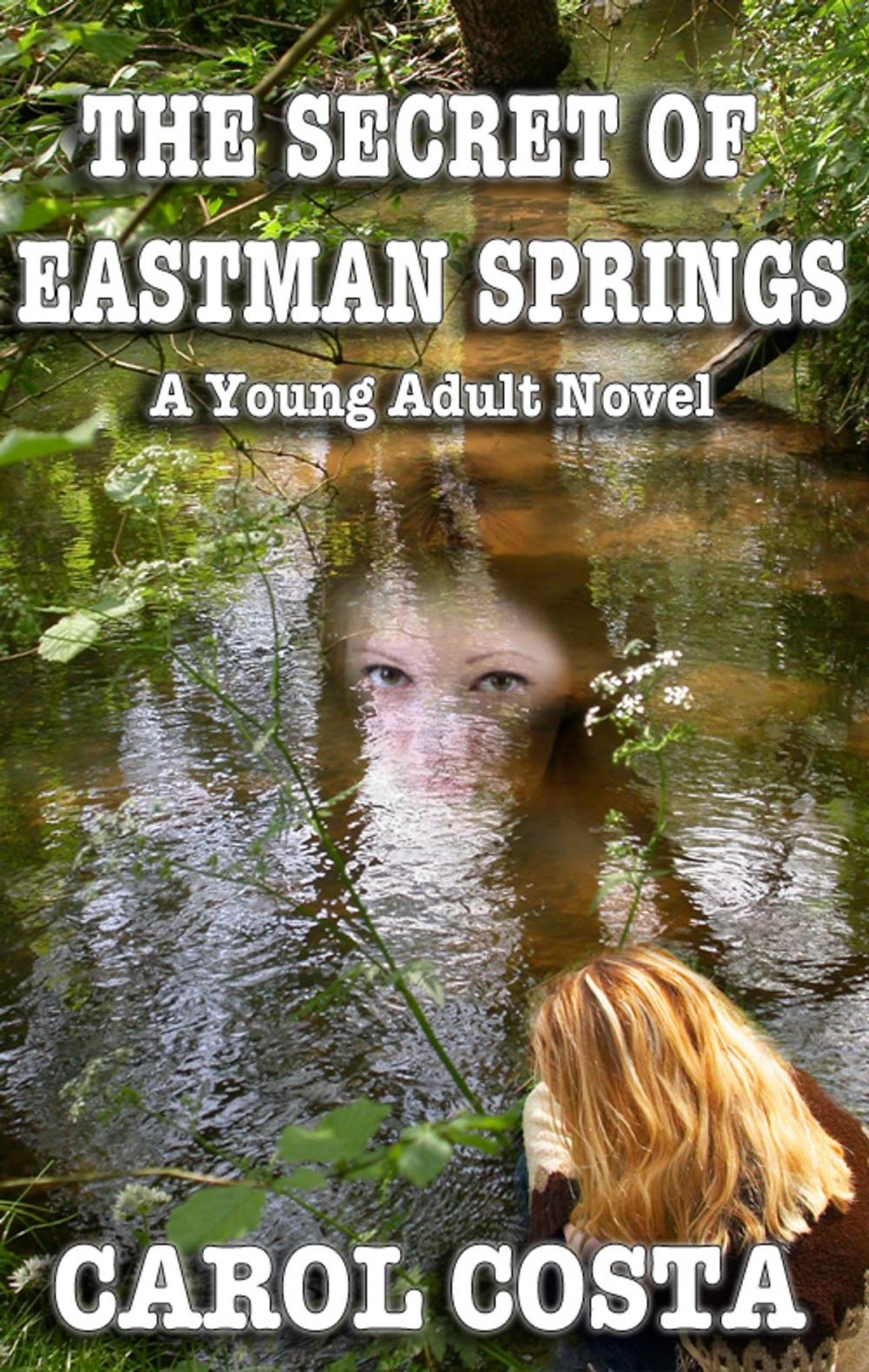Big bigCover of The Secret of Eastman Springs
