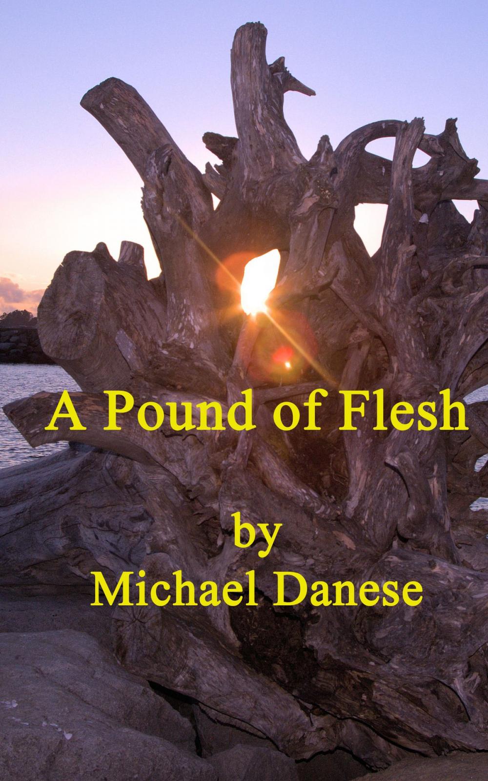 Big bigCover of A Pound of Flesh