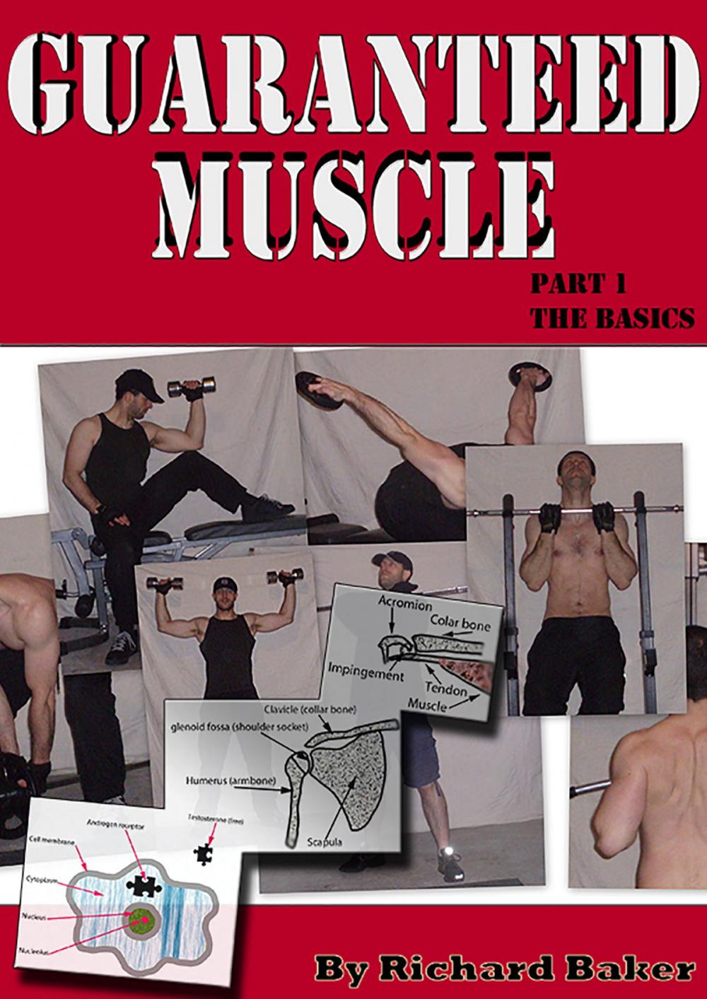 Big bigCover of Guaranteed muscle guide: Part 1 The basics