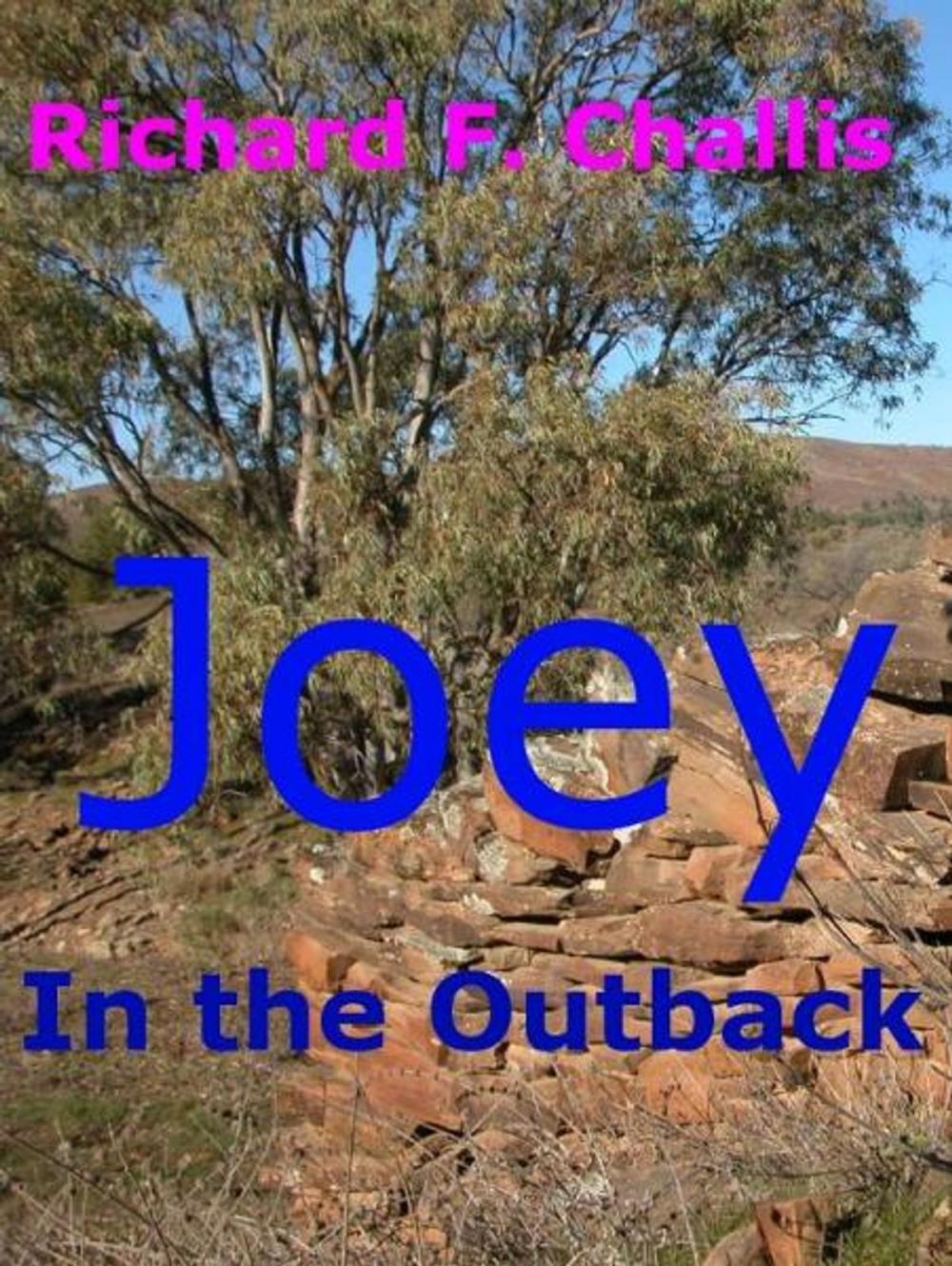 Big bigCover of Joey in the Outback