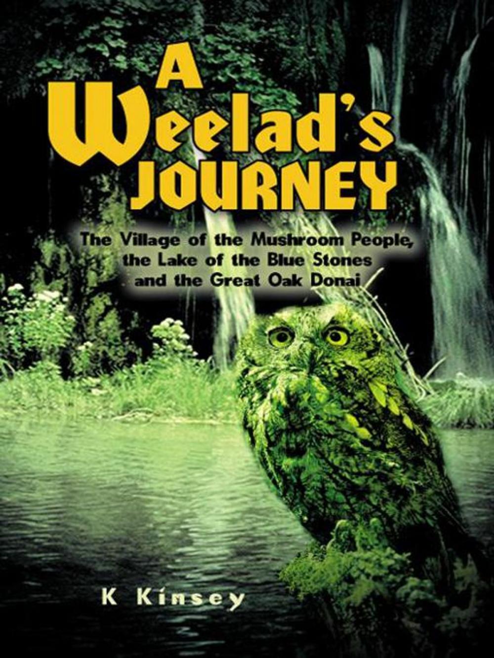 Big bigCover of A Weelad's Journey
